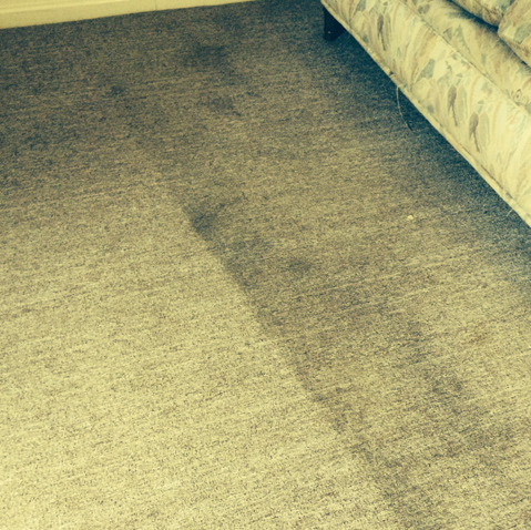 Carpet Cleaning Winthrop