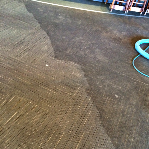 Carpet Cleaning Bateman