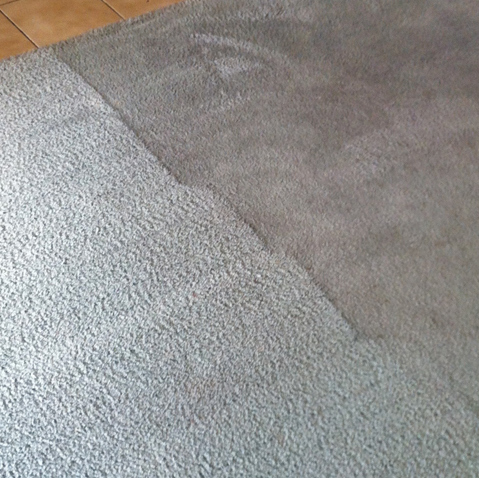 Carpet Cleaning Como